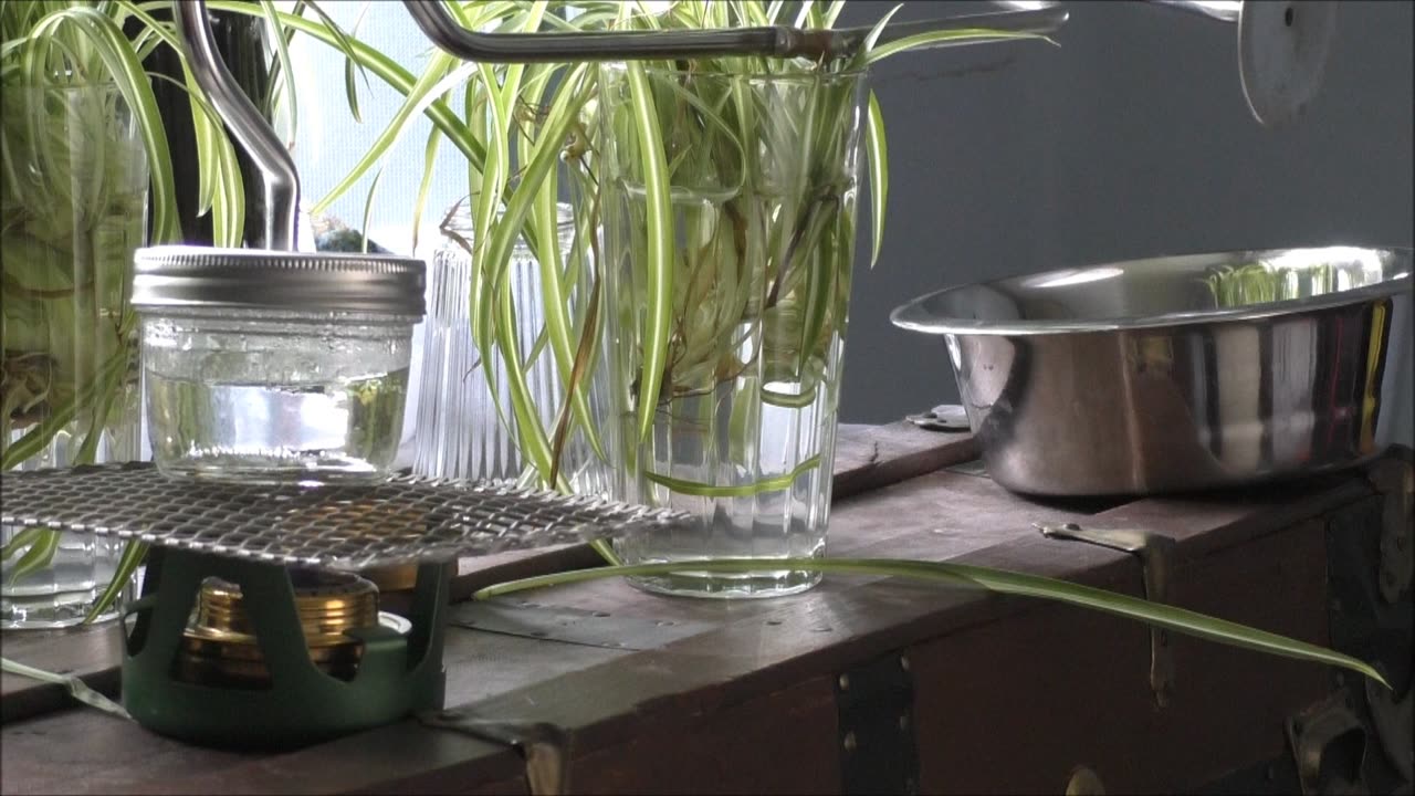 Dollar Store Distiller Boil