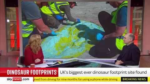 UK's biggest ever dinosaur footprint site found in Oxfordshire quarry_2