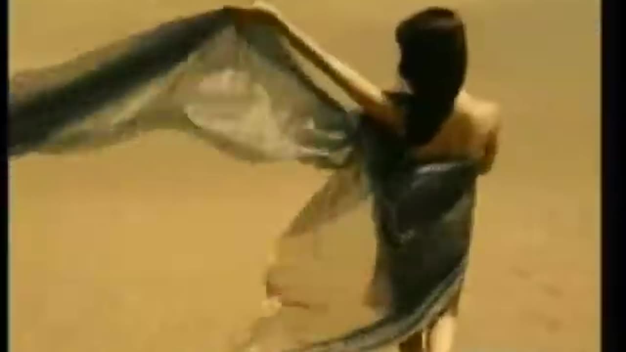 Transfer - Possession 2001
