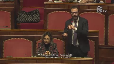 Patuanelli - Intervento in Senato (29.01.25)