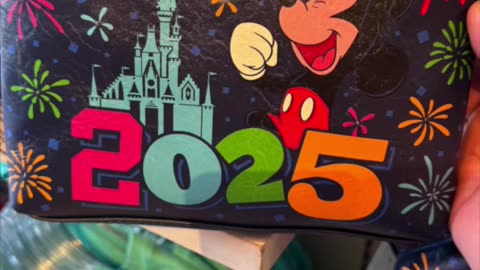 Disney Parks Mickey Mouse 2025 Zippered Pouch #shorts
