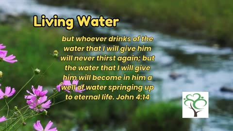 Feeling Lost? Find Hope and Clarity Through God’s Word Today - Living Water #DailyDevotion