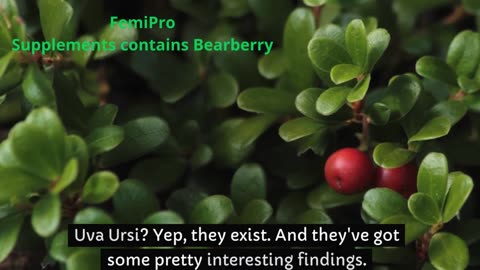 FemiPro Supplements contains Bearberry