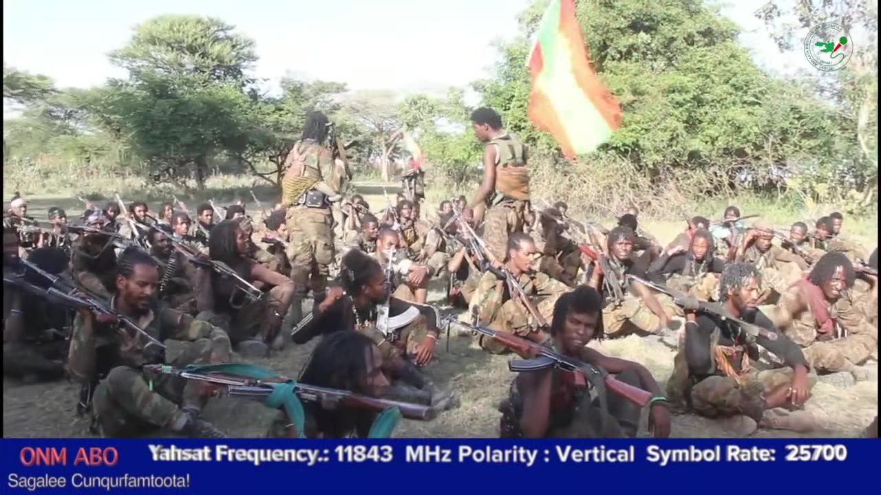 Qophii Addaa ONM-ABO Muddee 24-2024 itti dhiyaadhaa!