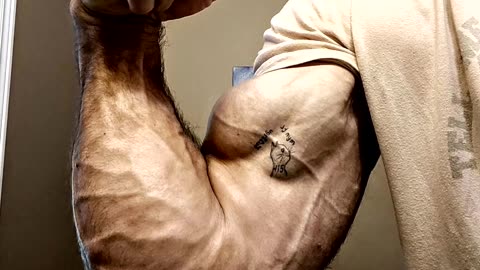 Devon Larratt's Arms