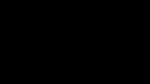 Idg