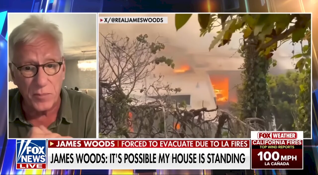 James Woods rips 'blithering idiot' Newsom after losing home in wildfire