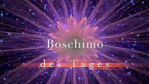 Boschimo Classics - Corona 23 bis 24