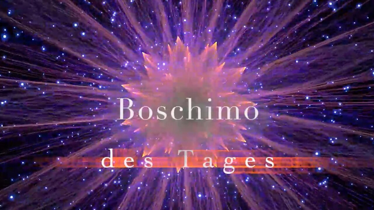 Boschimo Classics - Corona 23 bis 24