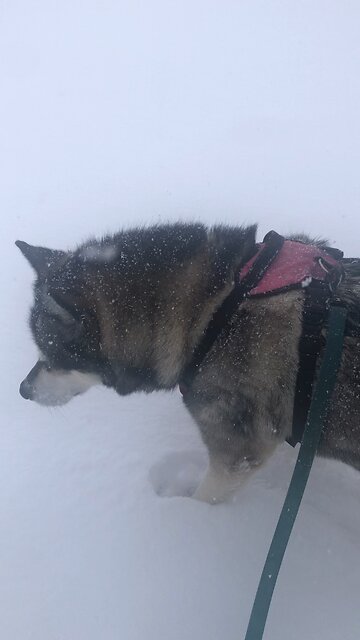 Monday February 3, I know the plans I have for you.