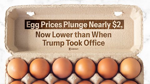 Egg Prices Drop! Gas Prices Drop! Stock Market Drops? Here’s Why.