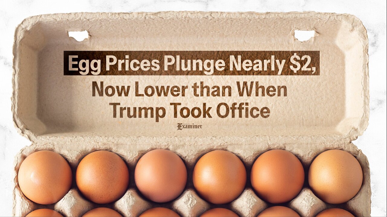 Egg Prices Drop! Gas Prices Drop! Stock Market Drops? Here’s Why.