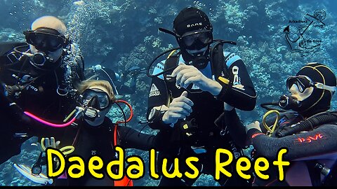 Daedalus Reef