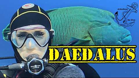 Daedalus Reef | Egypt | Red Sea