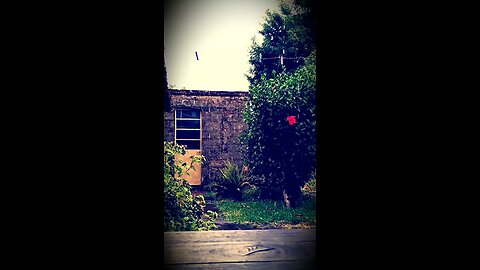 Glorioso São José: dai-nos chuva abundante!