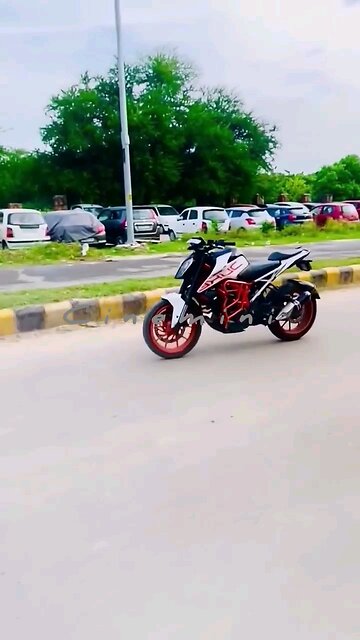 what a balance??? Viral Trending comedy HeroicAnimals Viral funnymoments