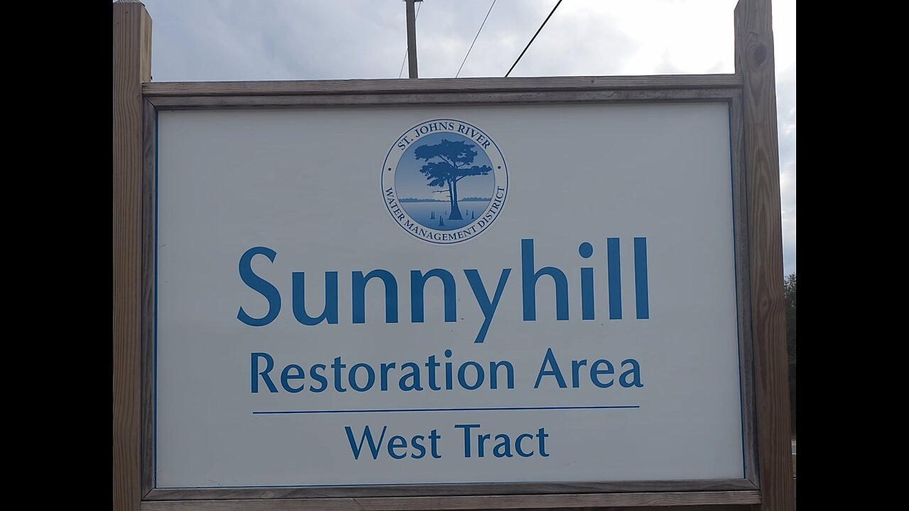 Hiking Sunnyhill West Tract in Central Florida 1st look!