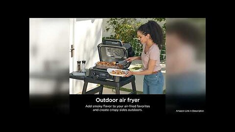 Ninja Woodfire Pro XL Outdoor Grill and Smoker with Built-In Thermometer Review