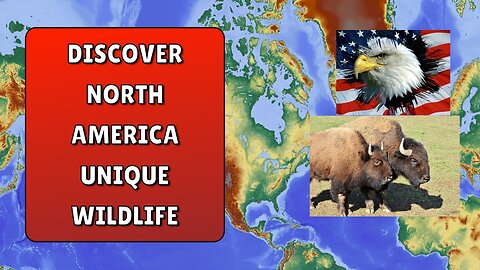 Discover North America's Unique Wildlife