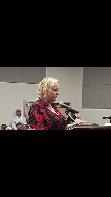 Lee County Delegation vote regarding Single Member Districts in Lee County BoCC