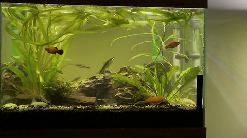 Water Change Completed