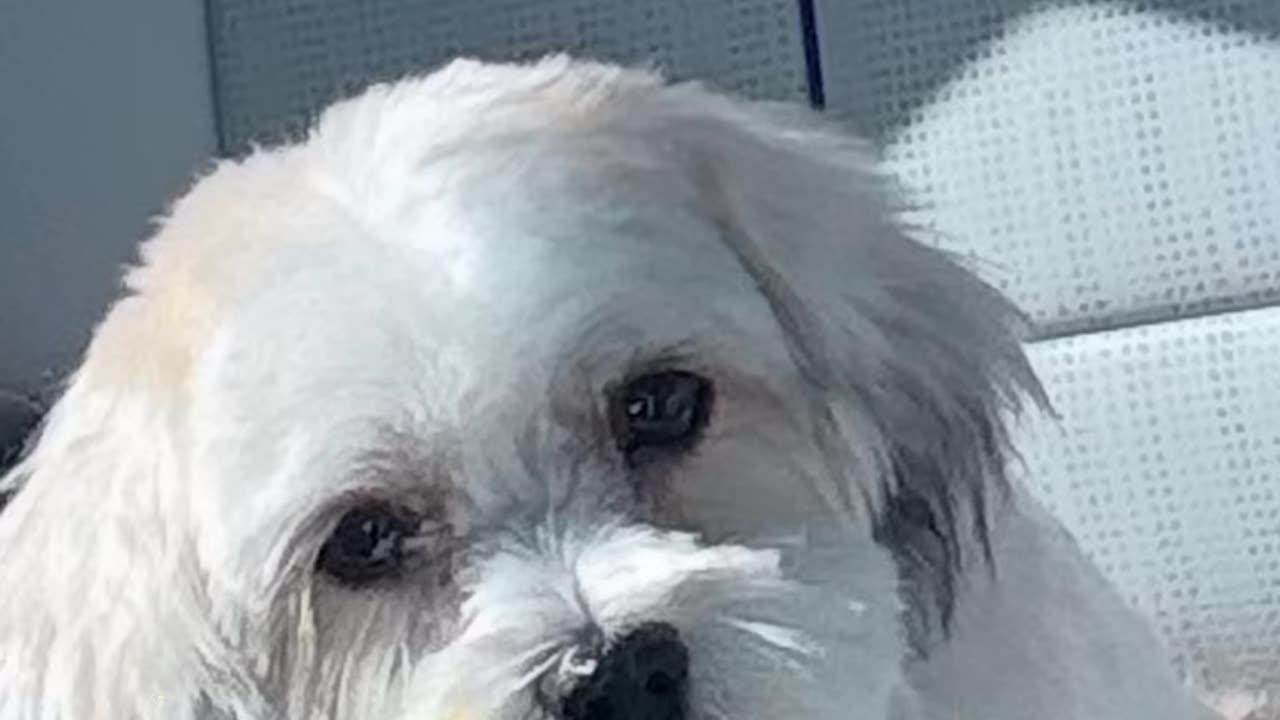 Tomi Kay live woke and choose violence today