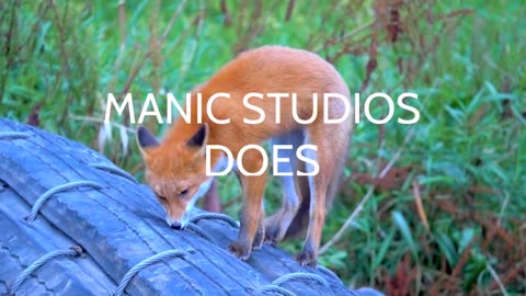 Manic Studios Intro