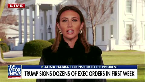 Alina Habba: The law is 'what our attorney general of the United States says'