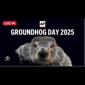 Happy groundhog day everyone 2025 02/02/25