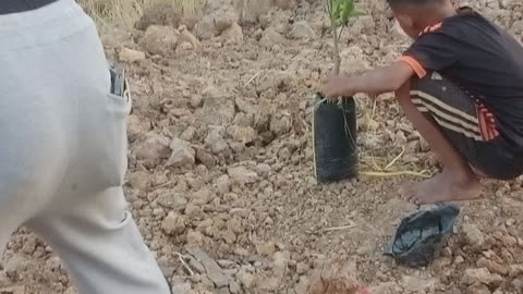 Master GongSun Taoism - Family Farm Life - Planting of Fruit Trees!