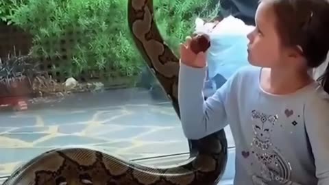 Rescue a python