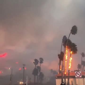 California Palisades fire causes Mass Evacuations