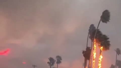 California Palisades fire causes Mass Evacuations