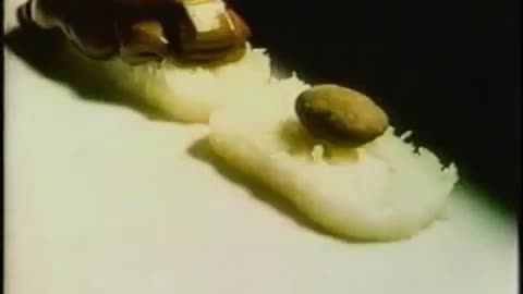 1978 Almond Joy / Mounds commercial