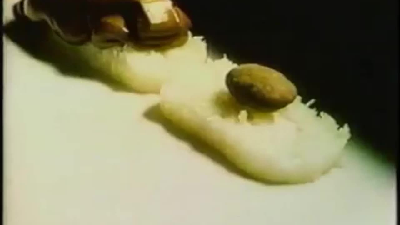 1978 Almond Joy / Mounds commercial