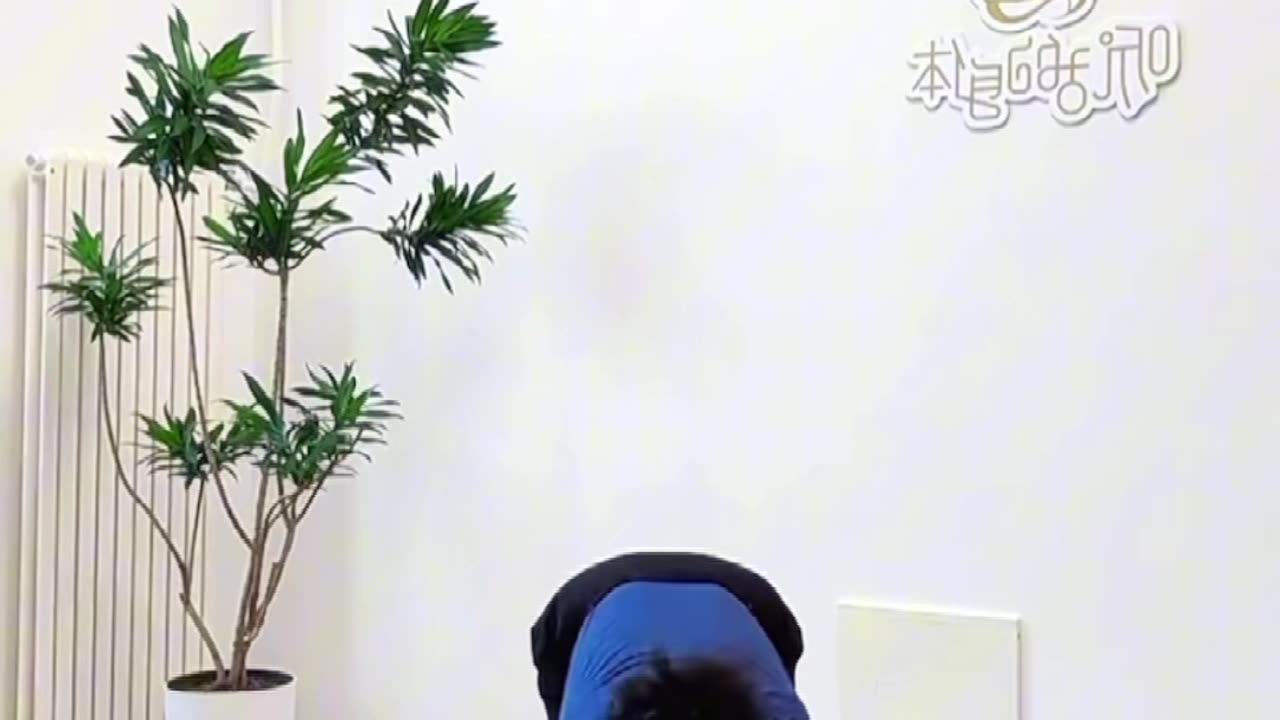 0488.拉伸十法