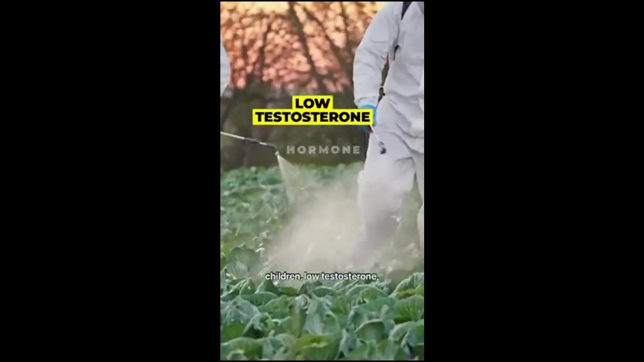 Monsanto Should Be Held Accountable to ALL Suffering & Death They Have Caused