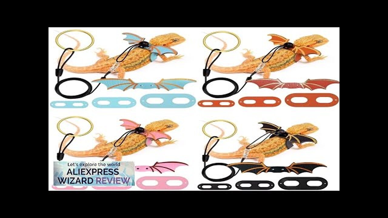 2022 New 3 Pcs Adjustable Bearded Dragon Leash With Bat Wings Soft Review