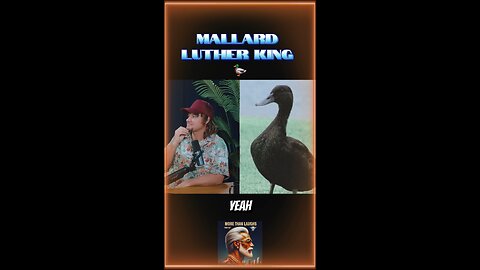 Mallard Luther King 😂🦆