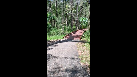 Divine Nature Walk.