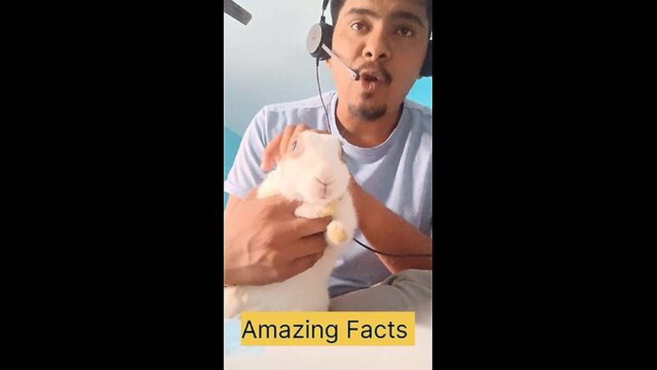 Rabbits Have a SECRET You Won't Believe! #shorts #facts #animals #marathi