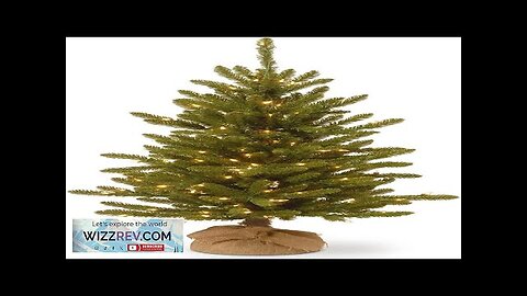 National Tree Company Pre-lit Artificial Mini Christmas Tree Includes Small Lights Review