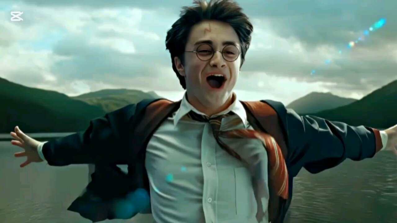 Harry Potter's childhood