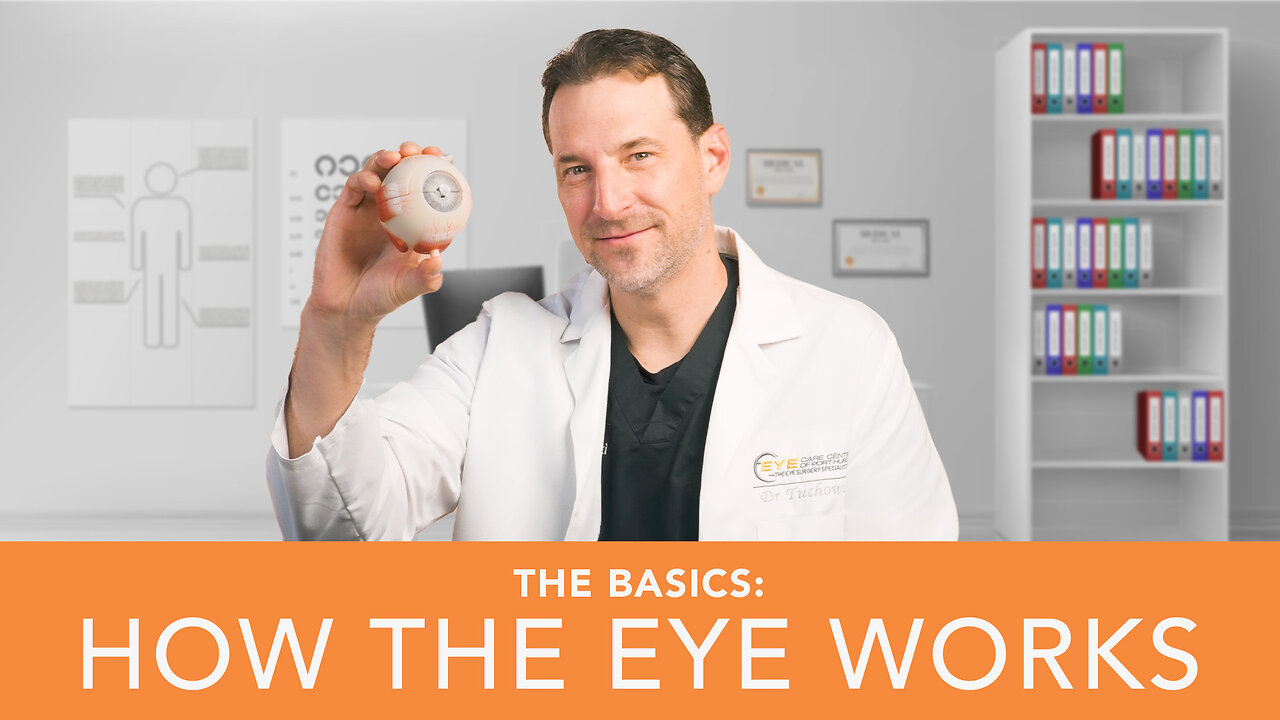 The Basics: How The Eye Works