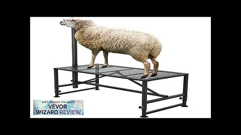 VEVOR Goat & Sheep Stand 47x23 inch Livestock Stand Metal Livestock Milking Review