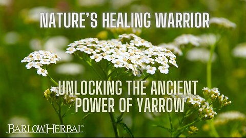 The Health Benefits of Yarrow