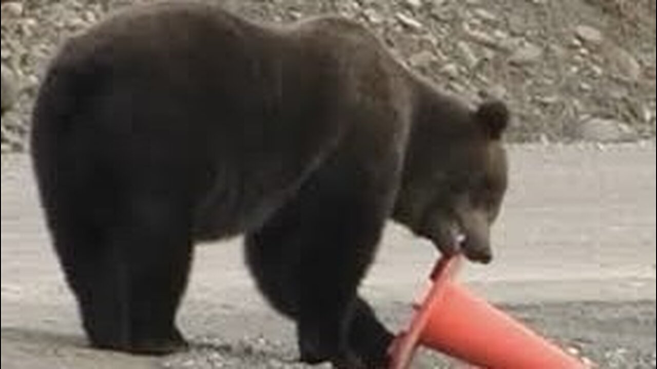 The New Parks Service Employees😂😂