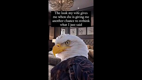 that stare ... 😂