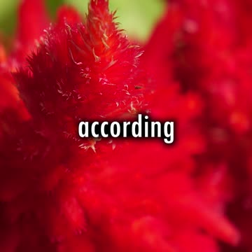 Moses Was the Meekest Man?? || God's Point of View (Short #140)