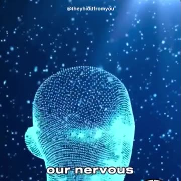 They tell you that the Sun hurts you. Here’s also what they don’t tell you.